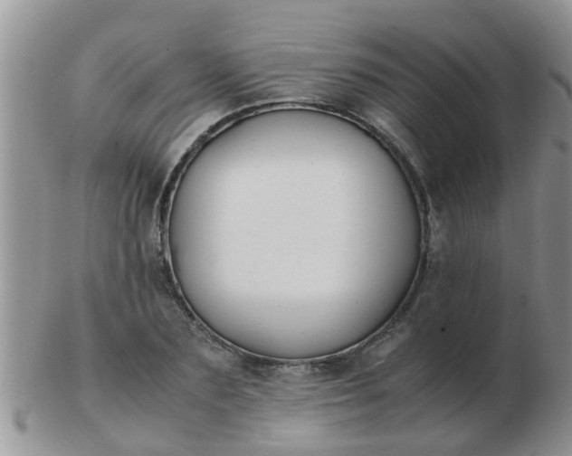 X0000103310883200809122049