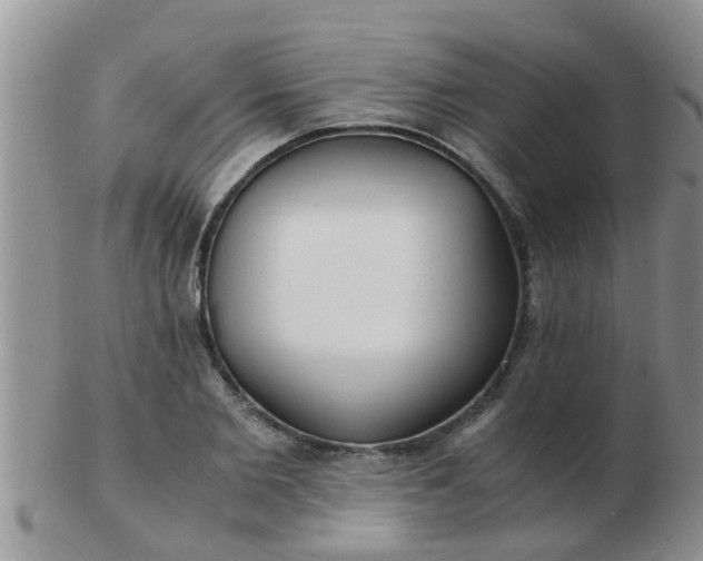X0000103310885200809122049