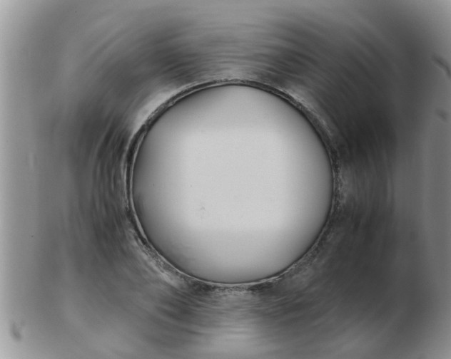 X0000103310886200809122049