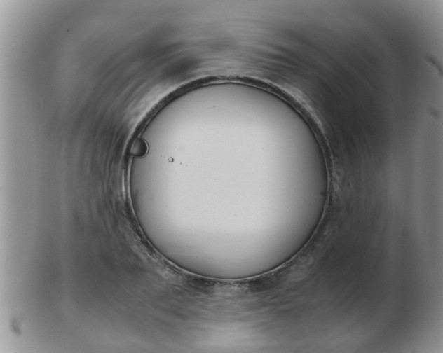 X0000103310887200809122049