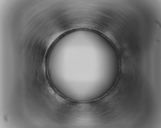 X0000103310888200809122049