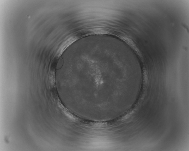 X0000103310889200809122049