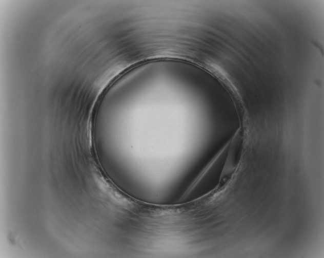 X0000103310892200809122049