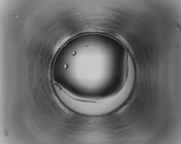 X0000103310893200809122049