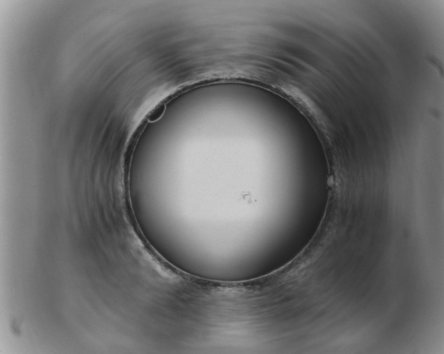 X0000103310894200809122049