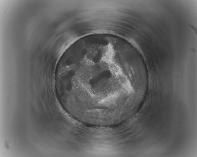 X0000103310895200809122049