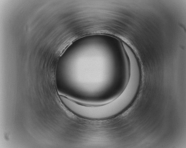 X0000103310897200809122049