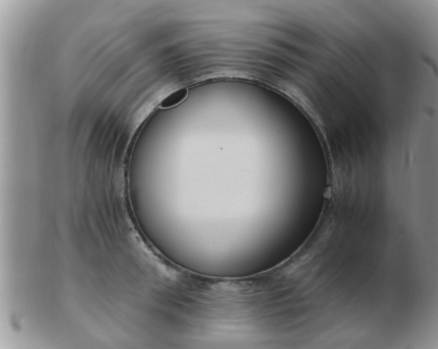 X0000103310898200809122049
