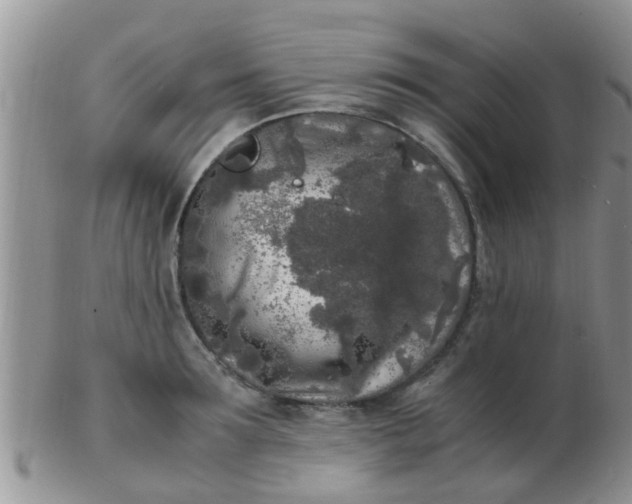 X0000103310899200809122049