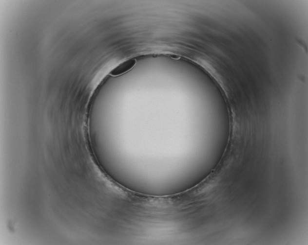 X0000103310901200809122049