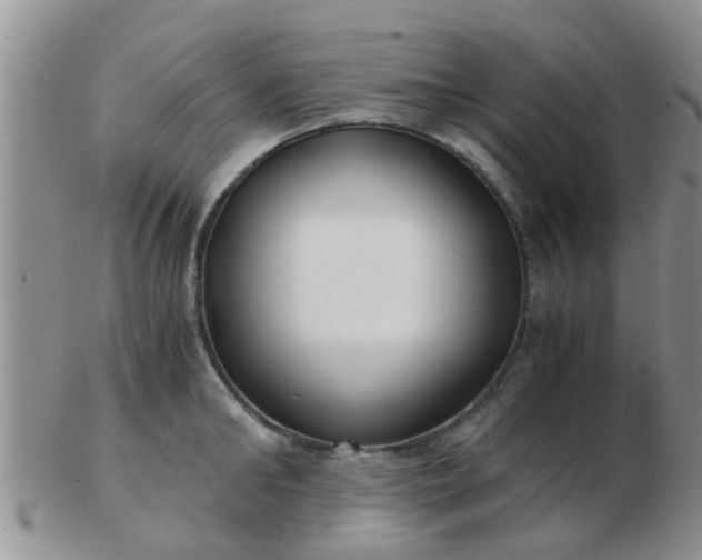 X0000103310902200809122049