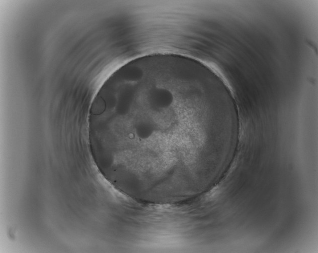 X0000103310903200809122049