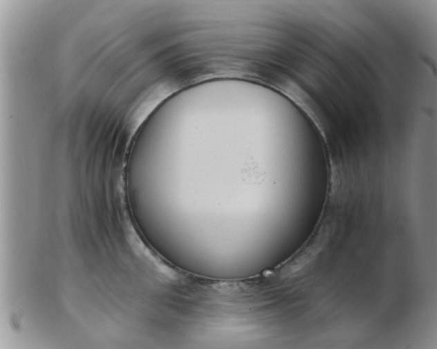 X0000103310906200809122049