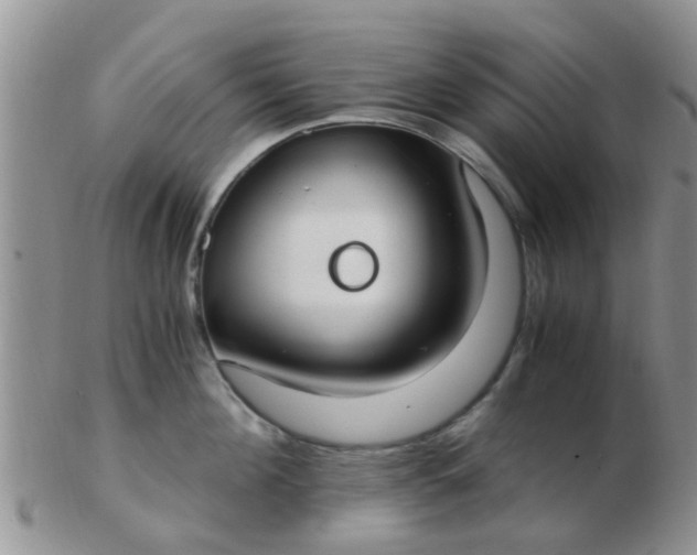 X0000103310908200809122049