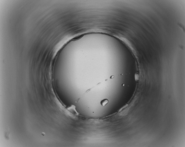 X0000103310910200809122049