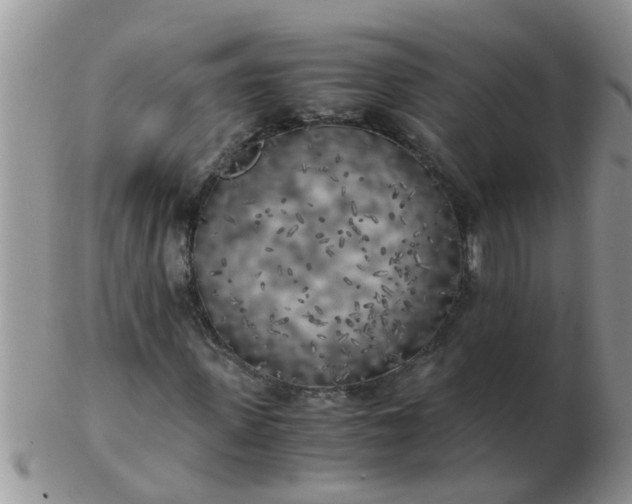 X0000103310915200809122048