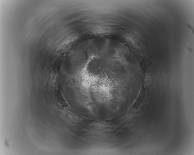 X0000103310917200809122048