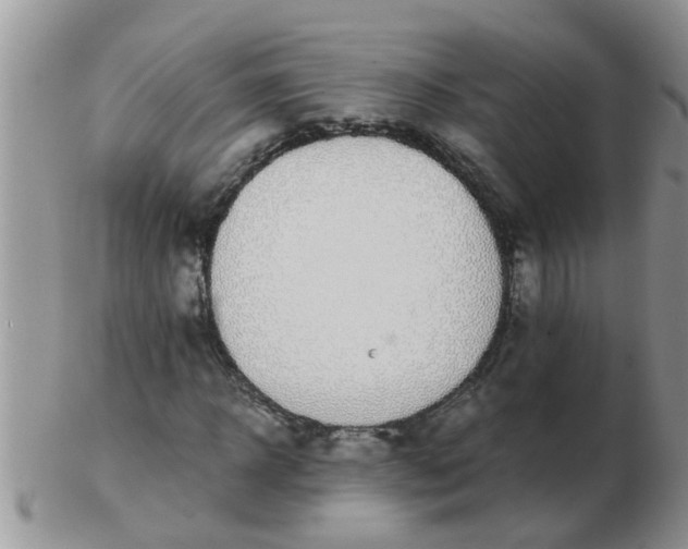 X0000103310918200809122048