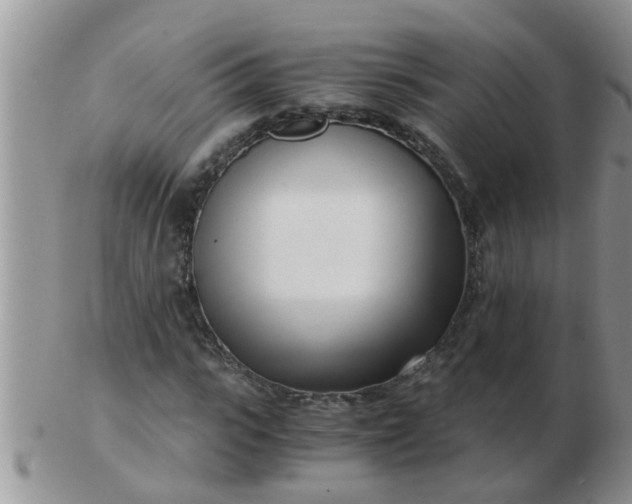 X0000103310919200809122048