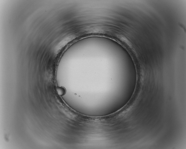 X0000103310922200809122048