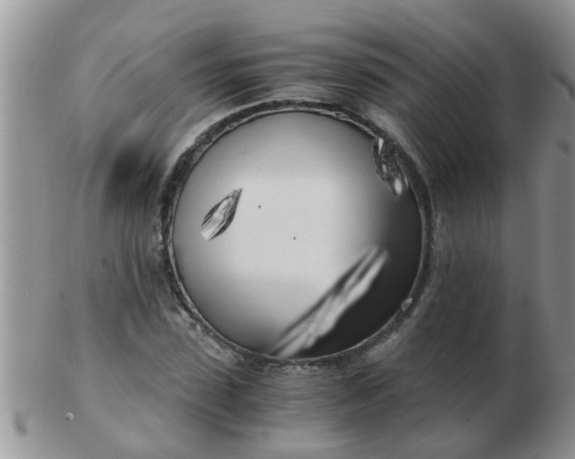 X0000103310923200809122048