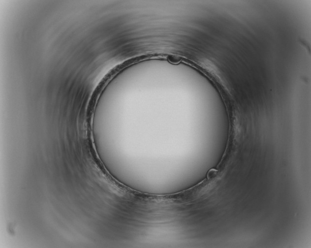 X0000103310924200809122048