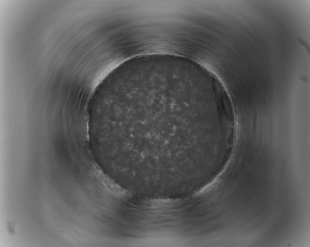 X0000103310925200809122048