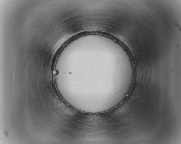 X0000103310927200809122048