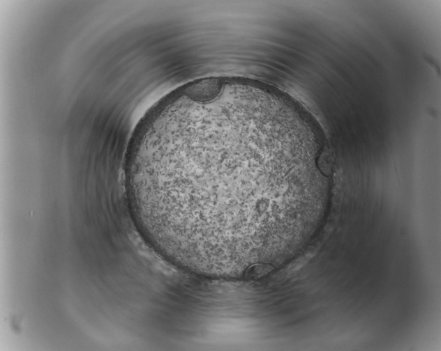 X0000103310928200809122048