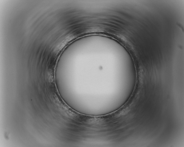 X0000103310929200809122048