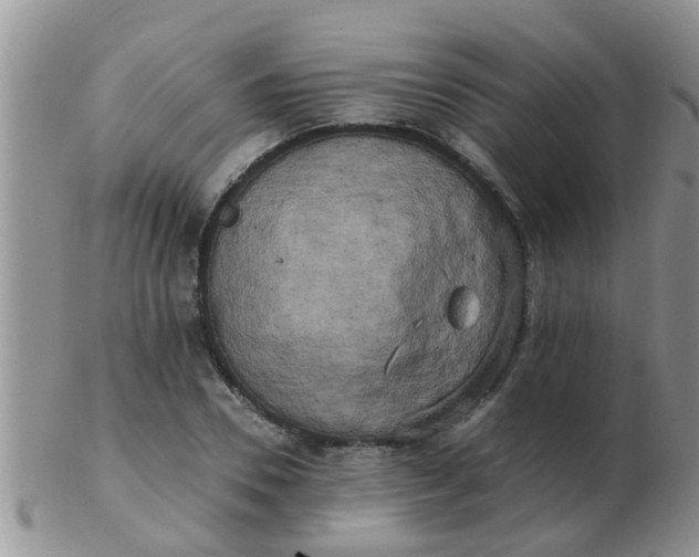 X0000103310930200809122048