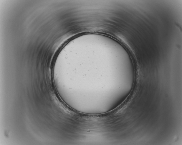X0000103310932200809122048