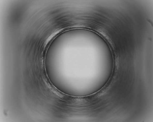 X0000103310933200809122048