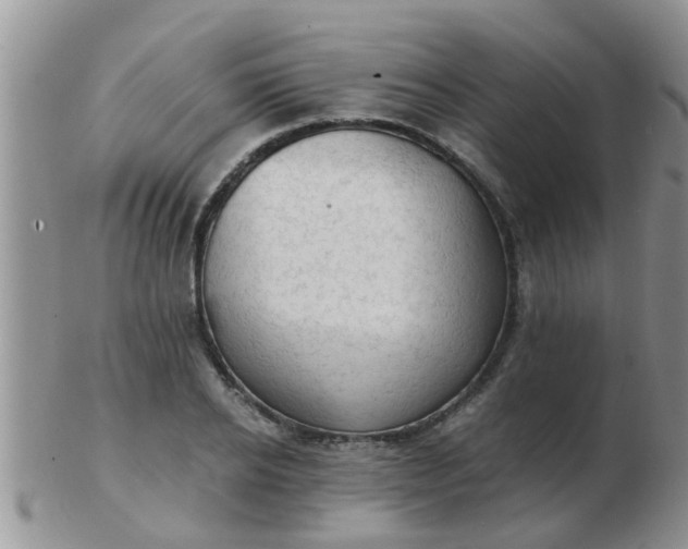 X0000103310934200809122048