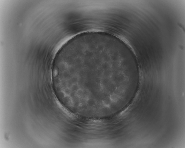 X0000103310935200809122048