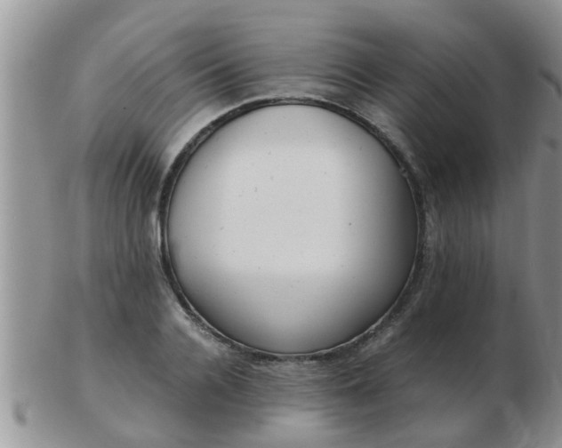 X0000103310936200809122048