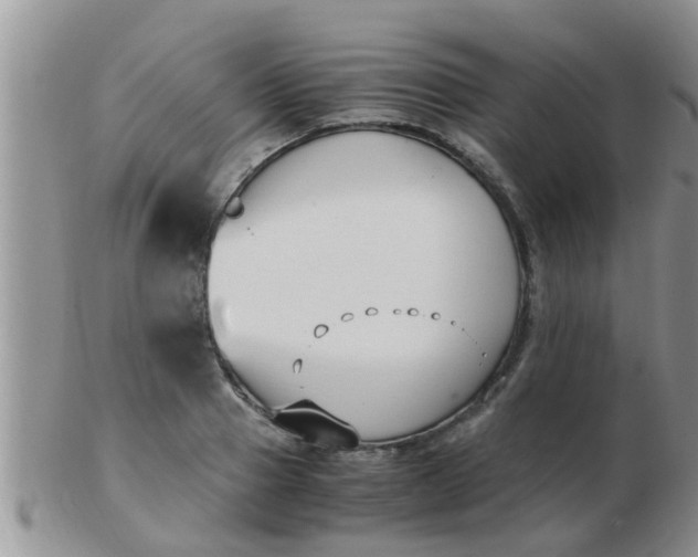 X0000103310937200809122048
