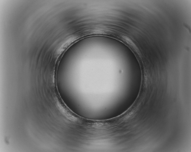 X0000103310938200809122048