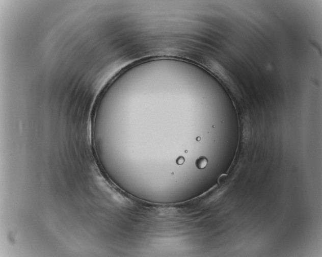 X0000103310940200809122048