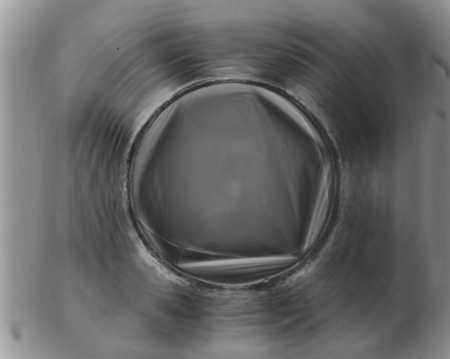 X0000103310941200809122048