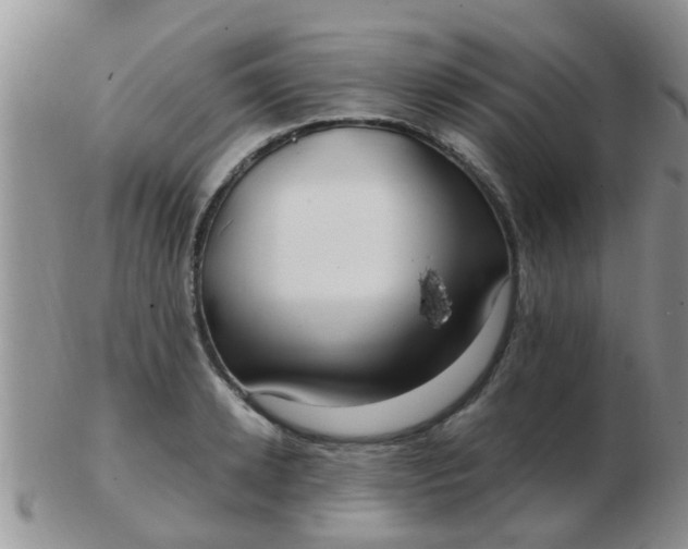X0000103310942200809122048