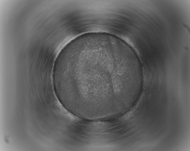 X0000103310943200809122048