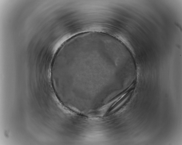 X0000103310944200809122048