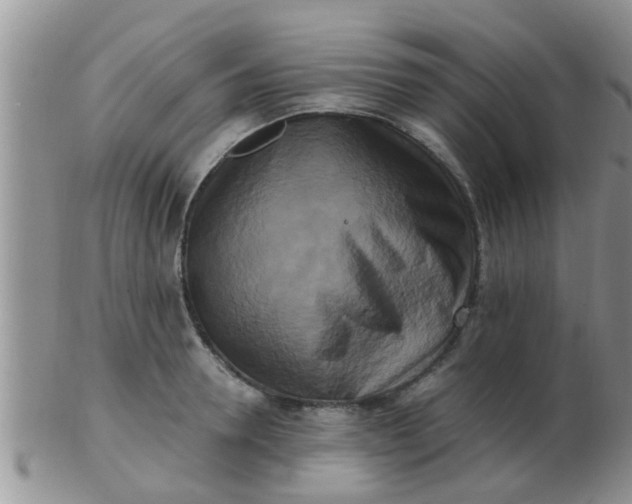 X0000103310946200809122048