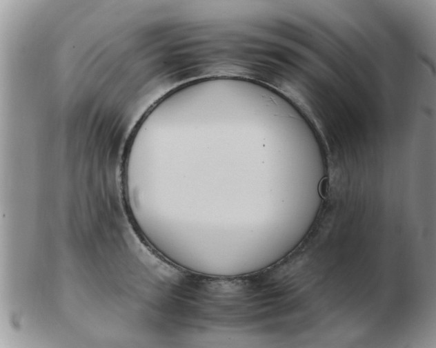 X0000103310947200809122048