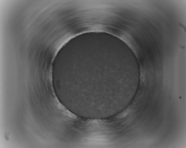 X0000103310950200809122048