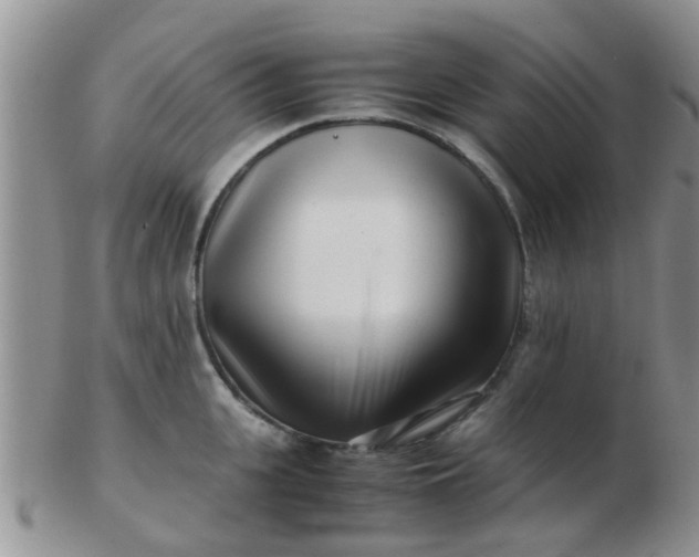 X0000103310951200809122048