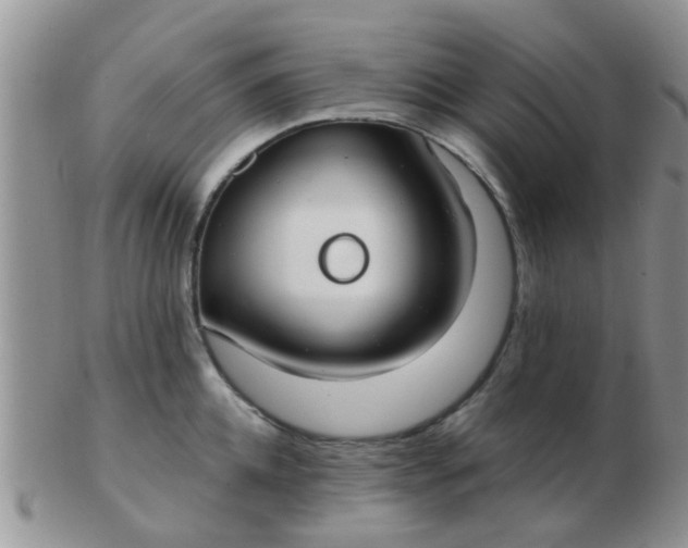 X0000103310952200809122048