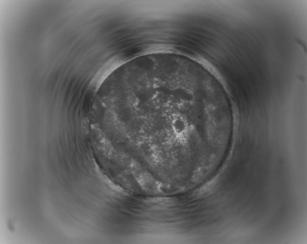 X0000103310953200809122048