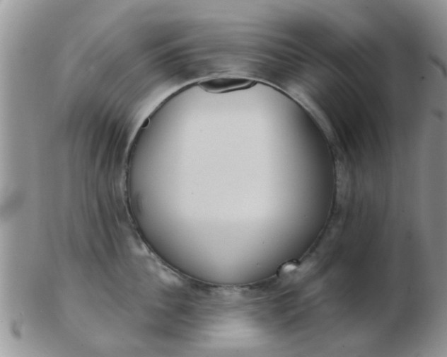 X0000103310956200809122048
